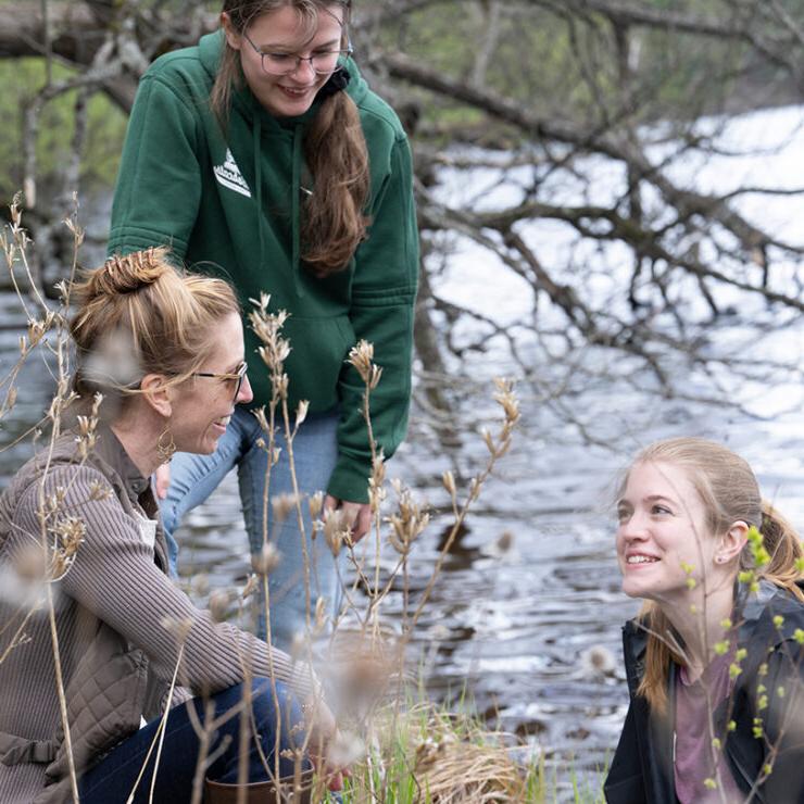 Ecological Restoration